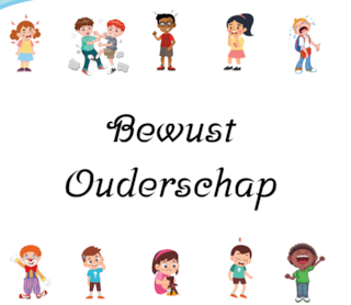 Bewustouderschap